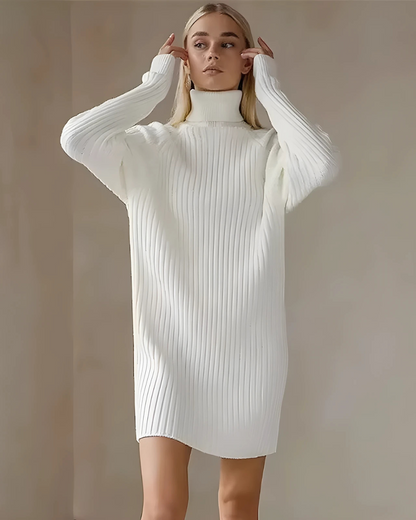 Velvet | Vestido Estilo Jersey con Cuello Alto