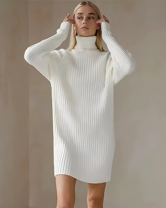 Velvet | Vestido Estilo Jersey con Cuello Alto
